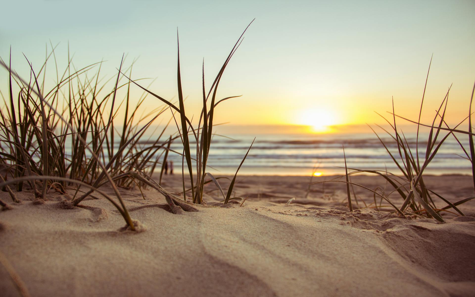 Guide to Water Sports on South Padre Island
