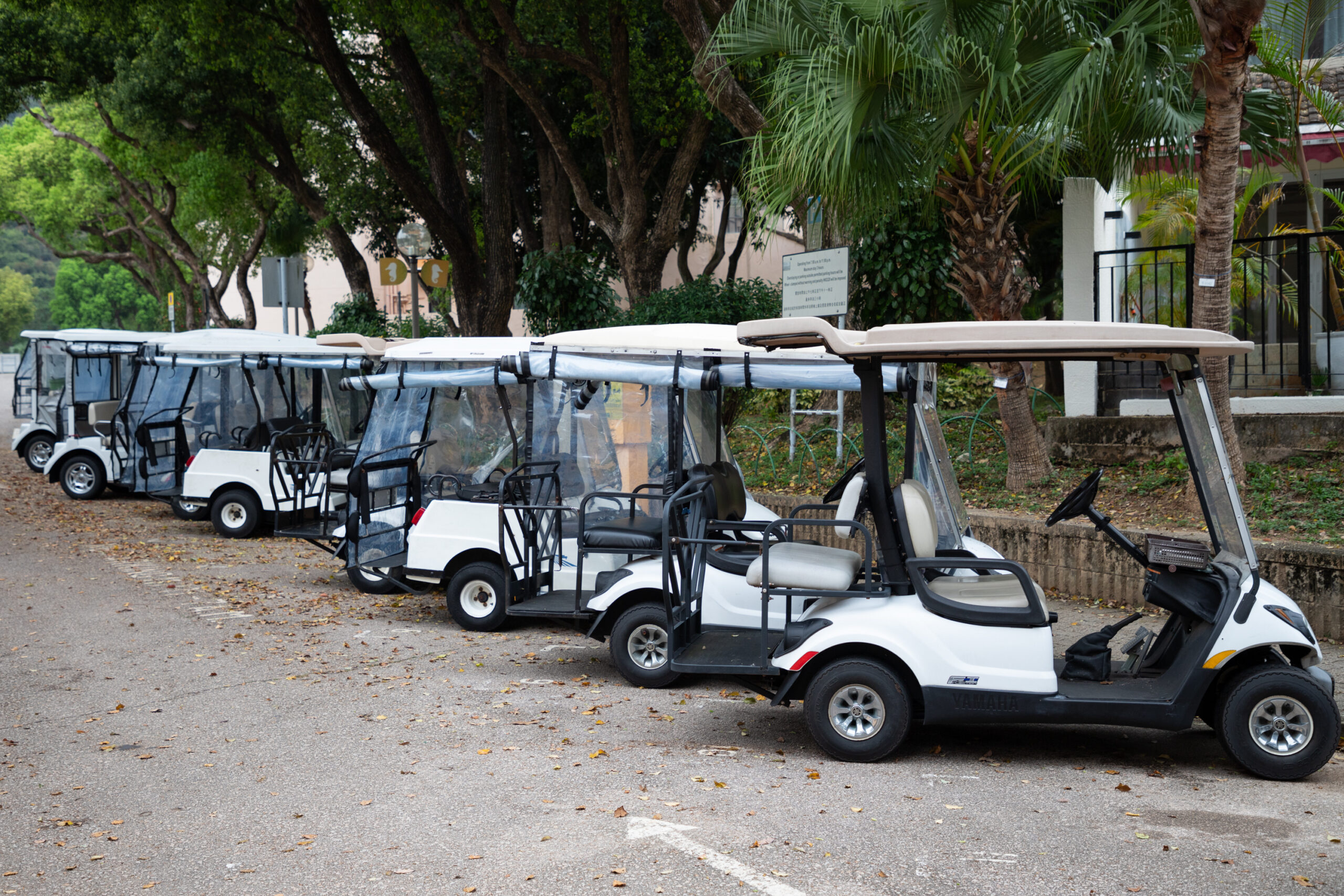 Golf carts parked in a row